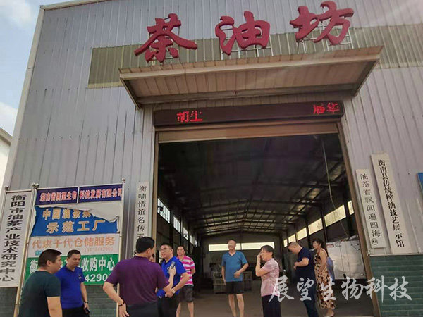 油茶鲜果收购 油茶鲜果收购