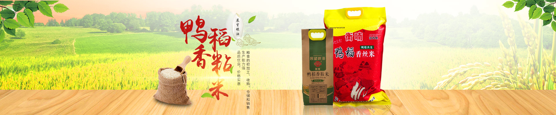 ����ʡ���28����Ƽ���չ���޹�˾_ũ����Ʒ�ӹ�|��ʳ�չ�