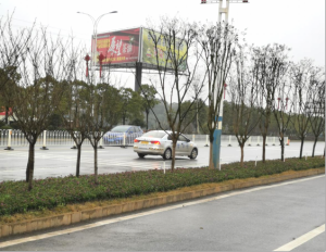 ũ����Ʒ�ӹ�,��ʳ�չ�,���ϵ���ֲ,����ʡ���28����Ƽ���չ���޹�˾